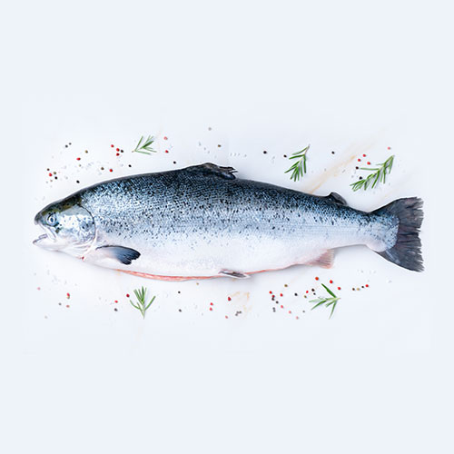 Semi-Wild Salmon Whole Scotland "Label Rouge"