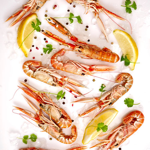 Shrimps Mediterranean 6/8