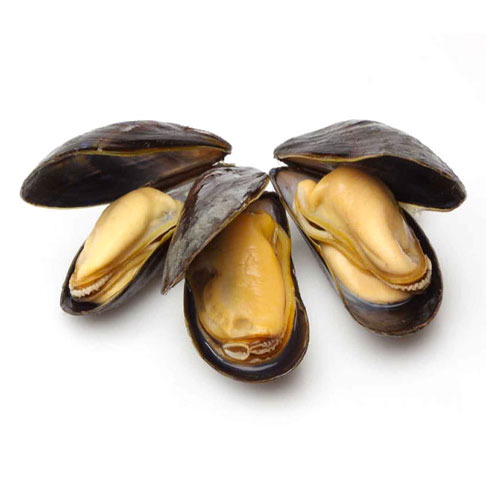 Mussels Extra 1.4kg