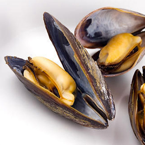 Mussels Jumbo 1.4kg