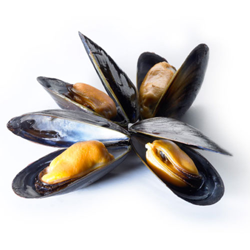 Mussels Super 1.4kg